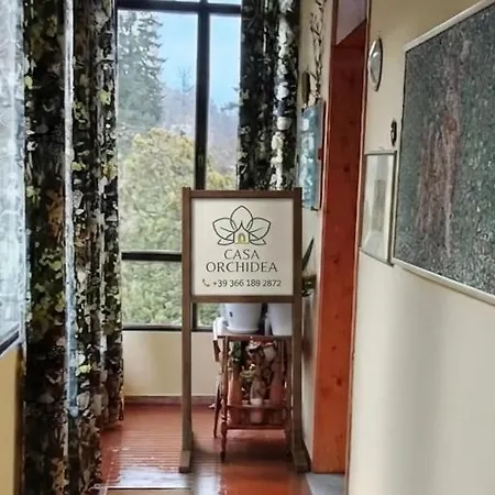Casa Orchidea شقة *