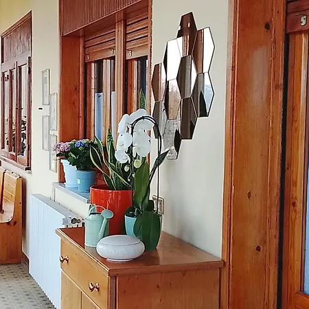 Casa Orchidea Apartamento *